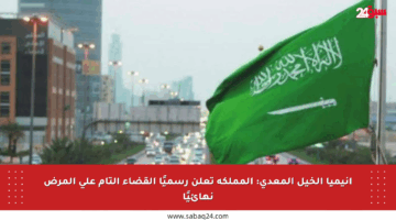 أنيميا الخيل المعدي: المملكة تعلن رسميًا القضاء التام على المرض نهائيًا